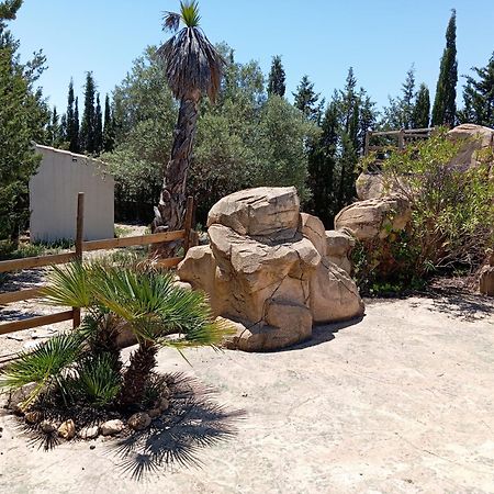 Casa Rural El Carmen De La Sierra ييكلا المظهر الخارجي الصورة