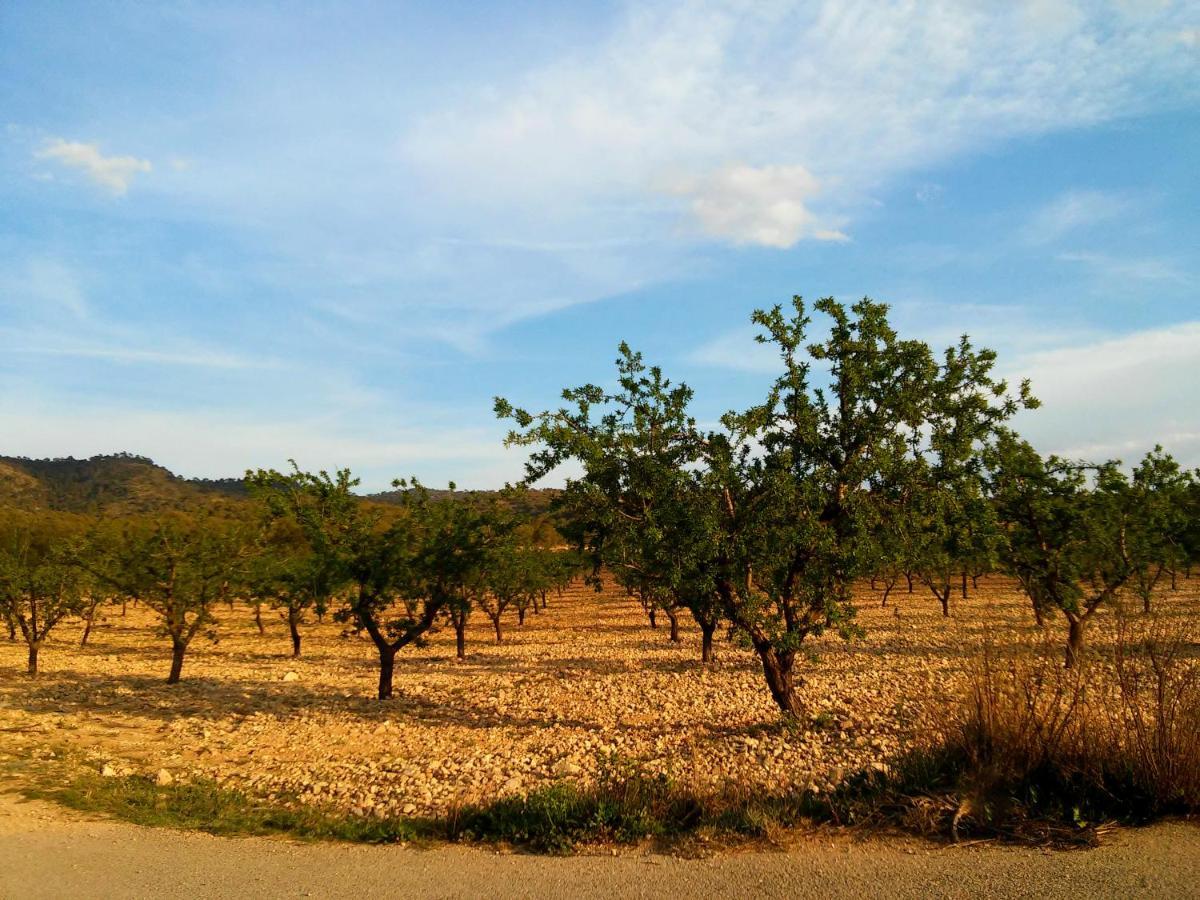 Casa Rural El Carmen De La Sierra ييكلا المظهر الخارجي الصورة
