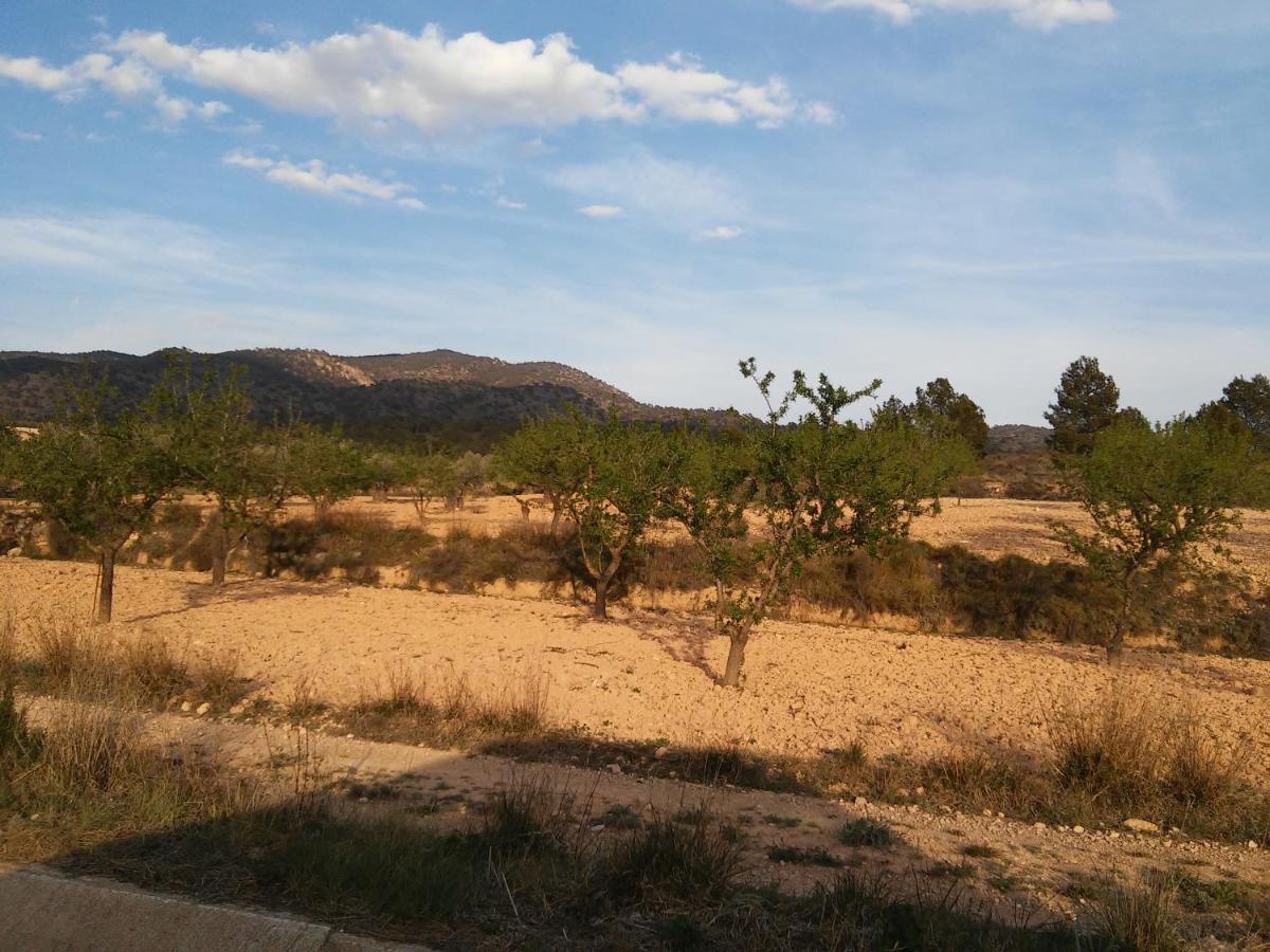 Casa Rural El Carmen De La Sierra ييكلا المظهر الخارجي الصورة