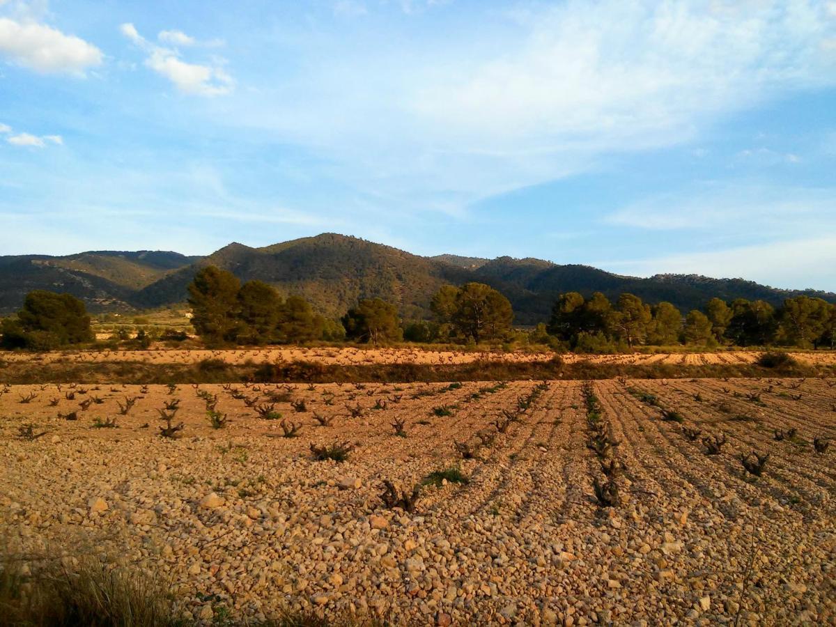 Casa Rural El Carmen De La Sierra ييكلا المظهر الخارجي الصورة