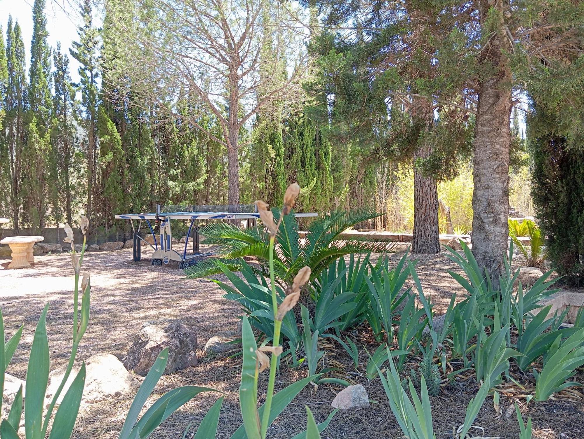 Casa Rural El Carmen De La Sierra ييكلا المظهر الخارجي الصورة